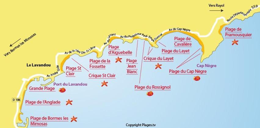 Mazet De La 54m2 Lavandou 100m Avec Piscine * Le Lavandou